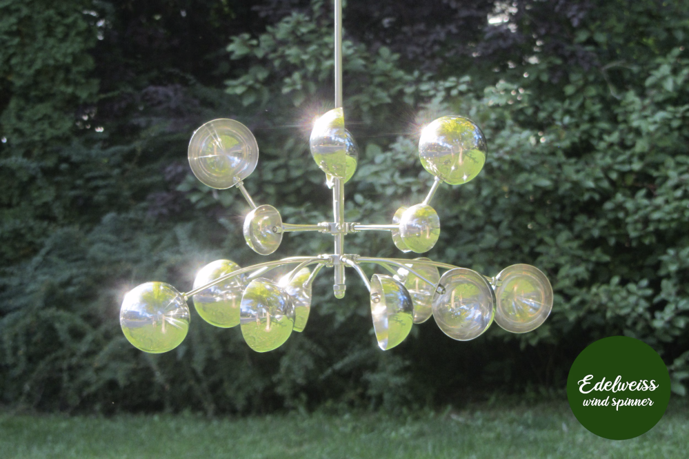 Edelweiss Wind Flower - Image 2