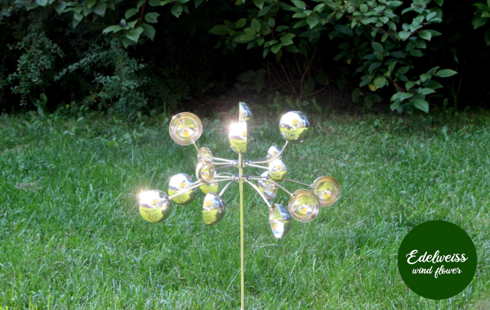 Edelweiss Wind Flower
