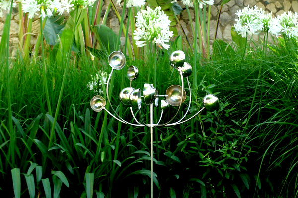 Wind Flower